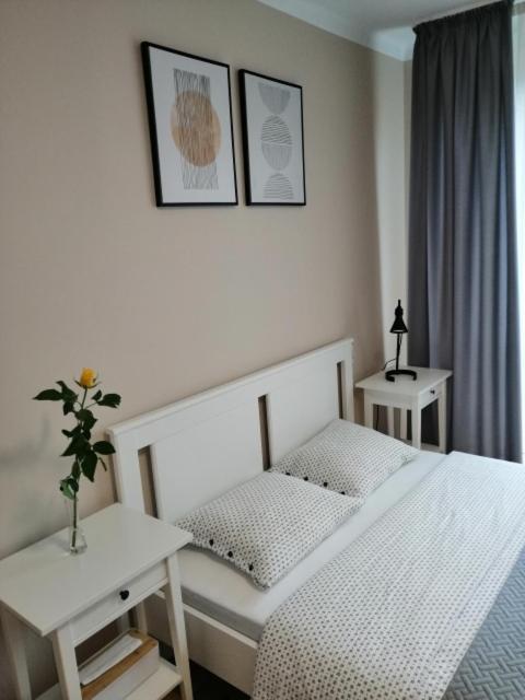 Apartment Alga Zator